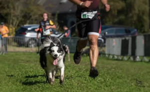 Pension semaine - Séjour sportif