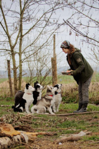 Pension semaine - Séjour socio-éducatif